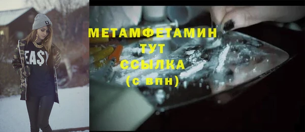 сатива Заволжье