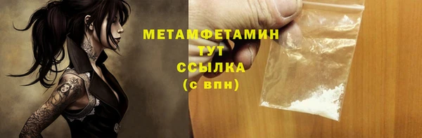 сатива Заволжье