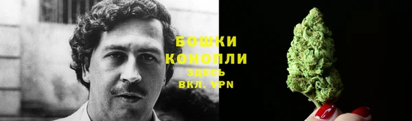 сатива Заволжье
