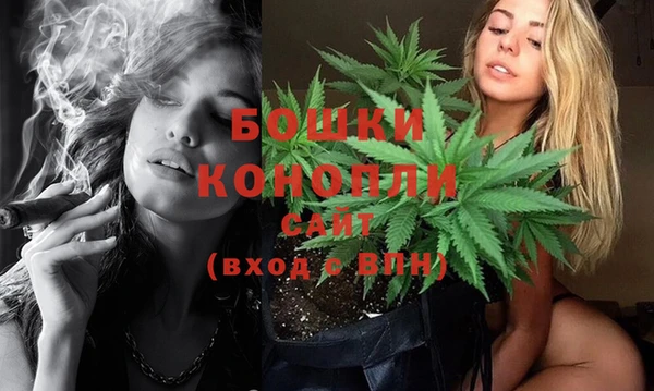 ECSTASY Елизово