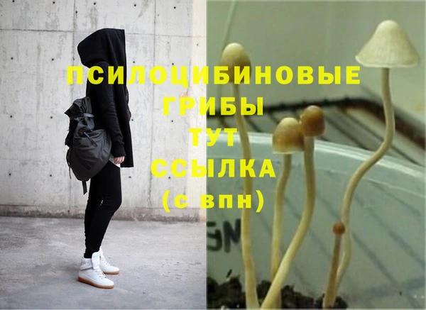 соль ск Заводоуковск