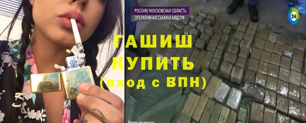 сатива Елабуга
